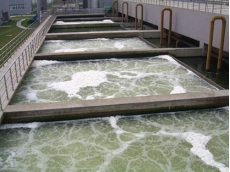 养殖厂污水处理